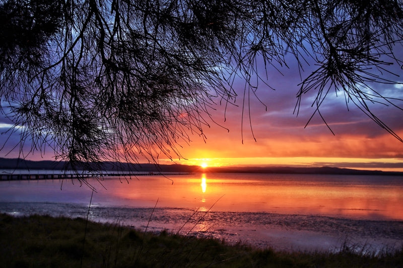 Sunset Sonata