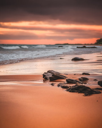 Sunset Vista