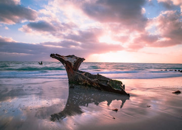 Sunsets and Ship Wrecks