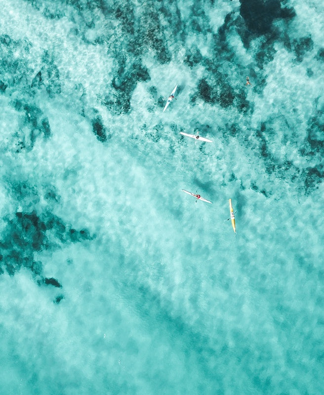 Surf Skis