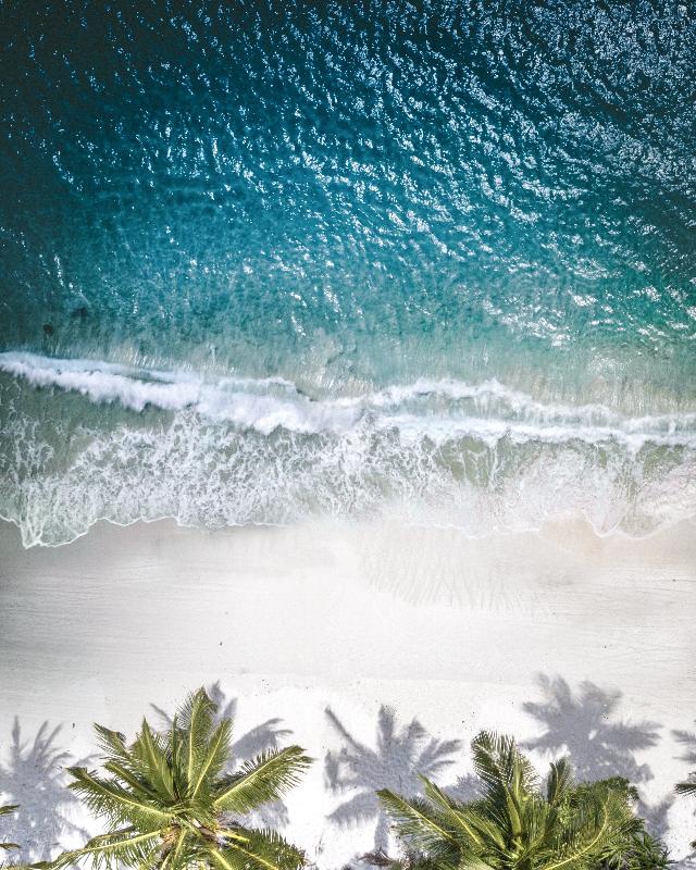 Surf n' Turf