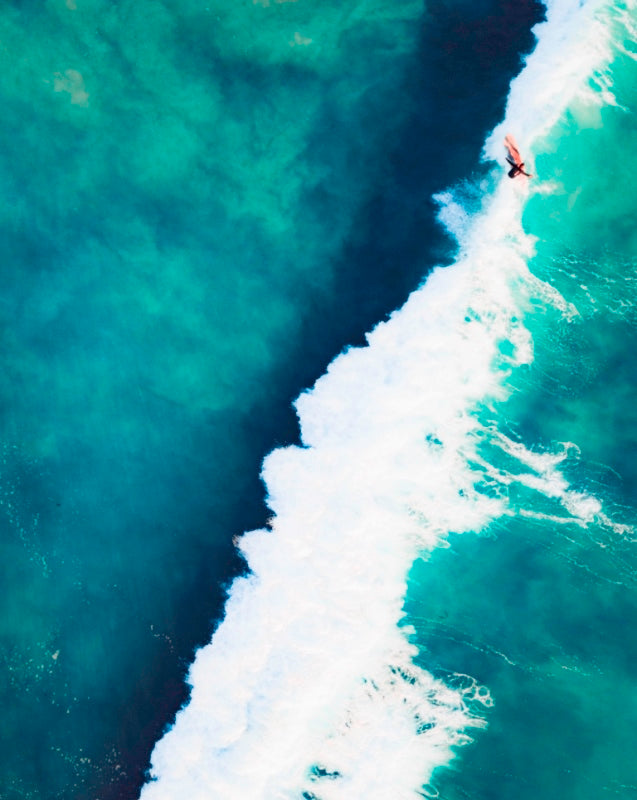 Surfs Up