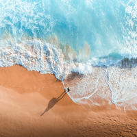 Surfer Split 2