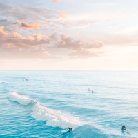 Morning Surfers