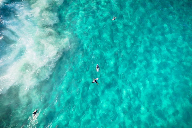 Surfers Dhayze