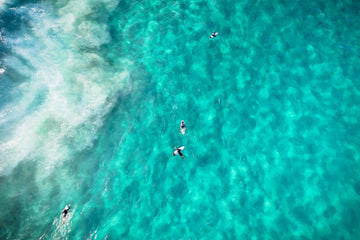 Surfers Dhayze