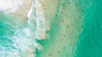Surfers