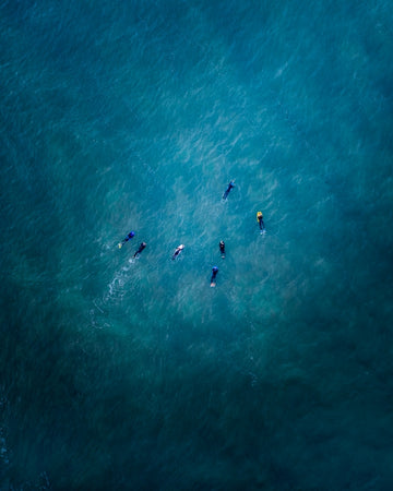 Surfers meet up