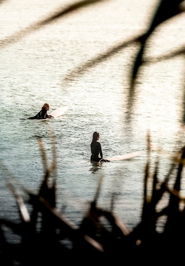 Surfs Up