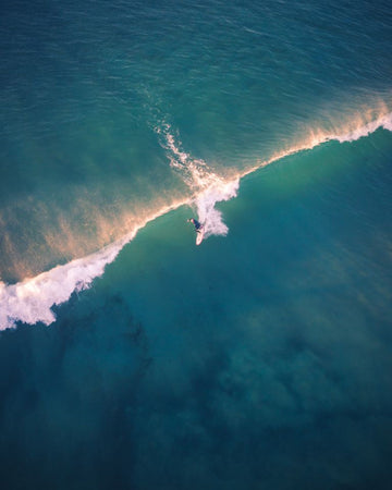 Surfs Up Boys
