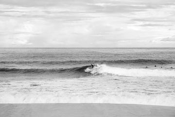 Surfs up