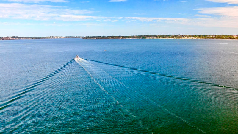 Swan River Wake