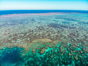 The Great Barrier Reef