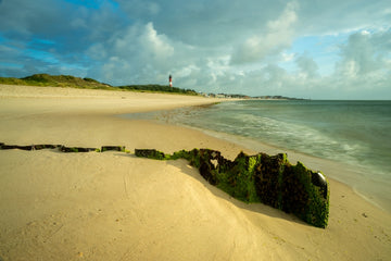Tide