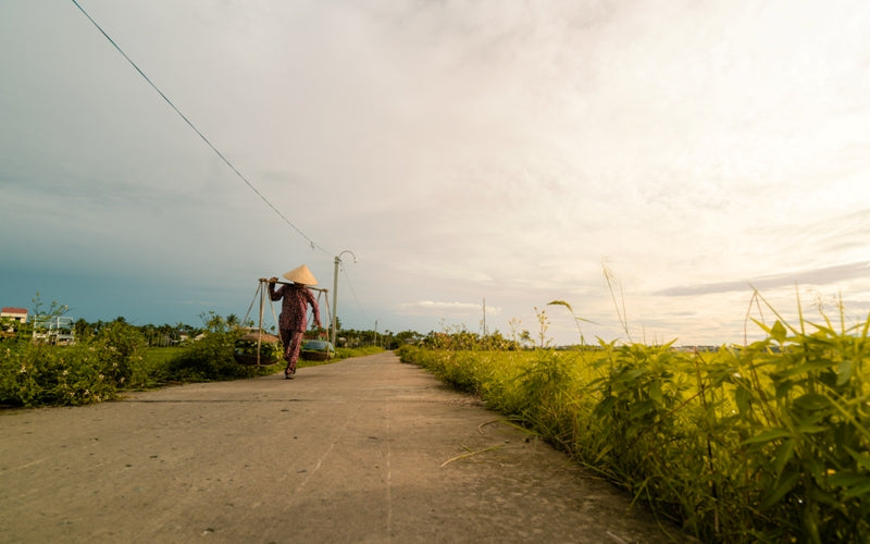 Talk Doesn't Cook Rice
