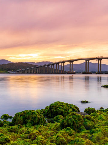 Tasman Sunset