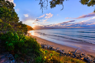 Tea Tree Bay