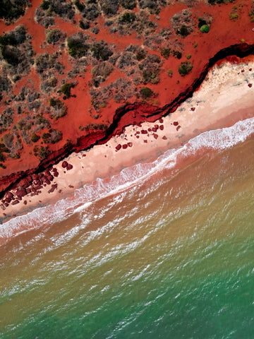 The Colours of Shark Bay