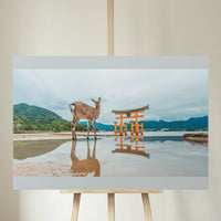 The Deer (Itsukushima Shrine)