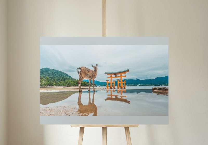 The Deer (Itsukushima Shrine)