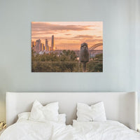 The Kookaburra and the City 01