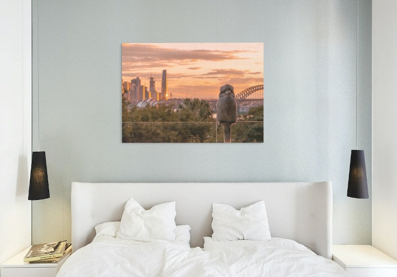 The Kookaburra and the City 01