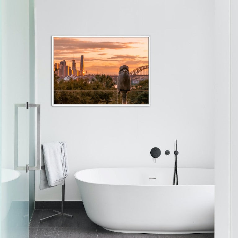 The Kookaburra and the City 01