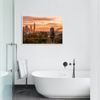 The Kookaburra and the City 01