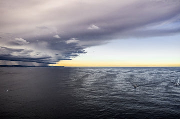 The Leading Edge