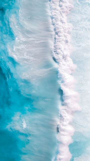 The Ocean Stirs the Heart