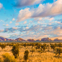 The Olgas