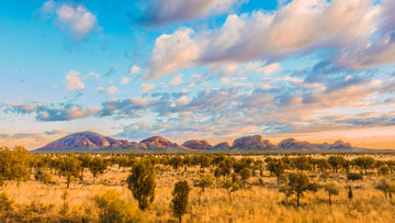 The Olgas