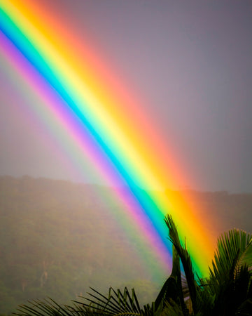 The Rainbows End