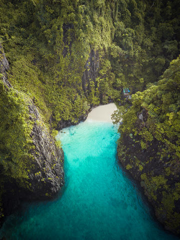 The Secret Cove