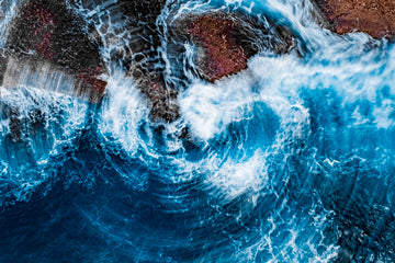 The Whirl