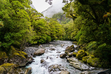 The Chasm