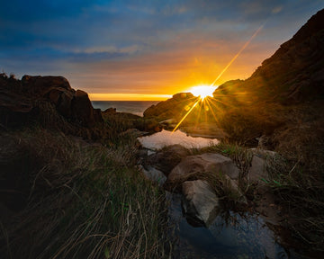 The Cove Flare
