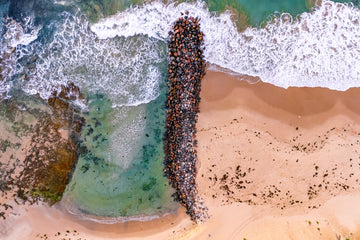 The Entrance Breakwall