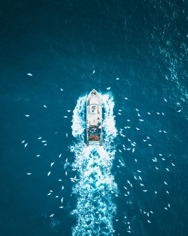 Fisher Boat