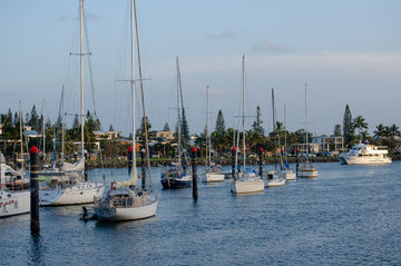The Marina