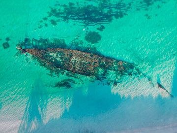 The Ship wreck