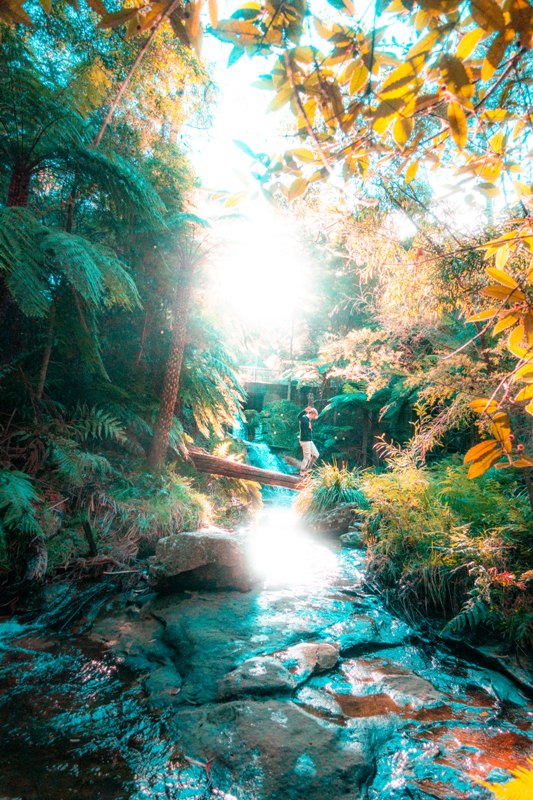 The blue mountains