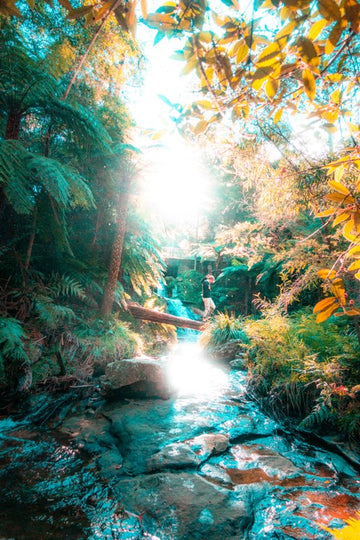 The blue mountains