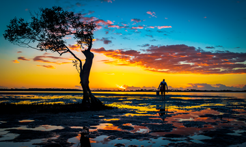 The fisherman