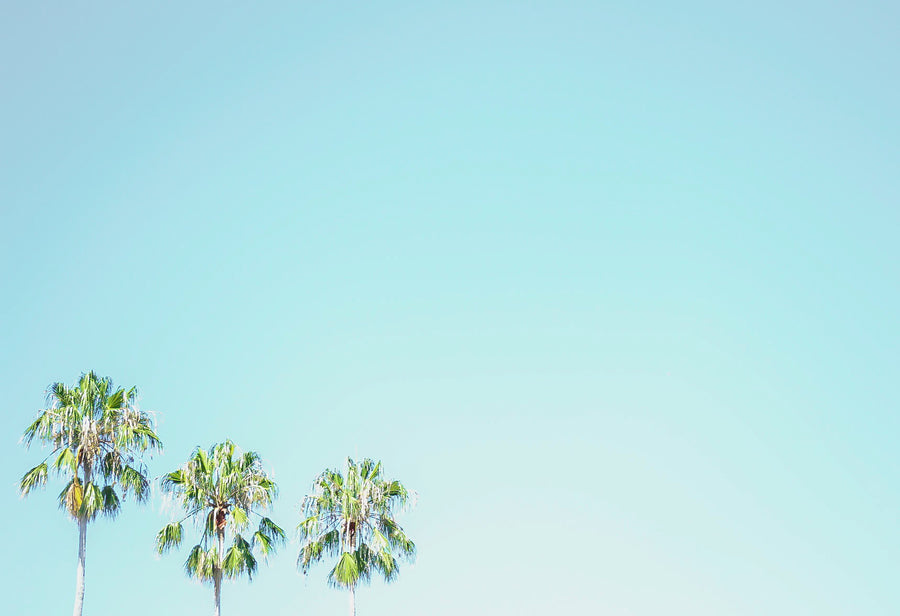 Three Palms
