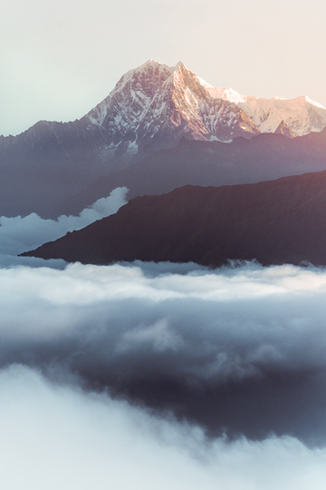 Through the Fog