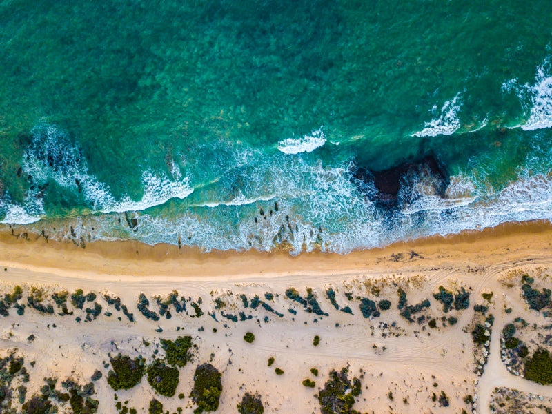 Tim's Thicket 4WD Beach