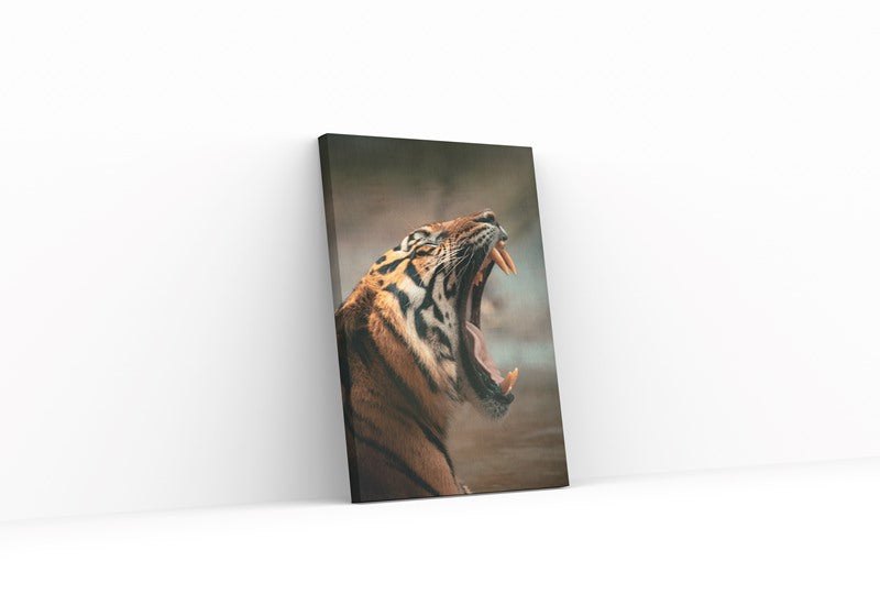 Tired Tiger