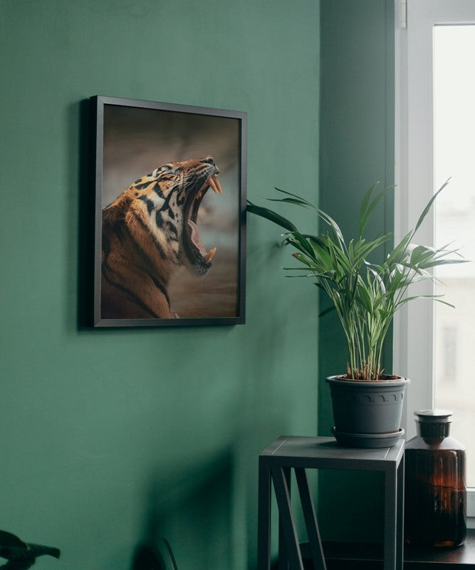 Tired Tiger