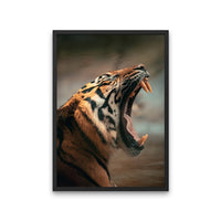 Tired Tiger